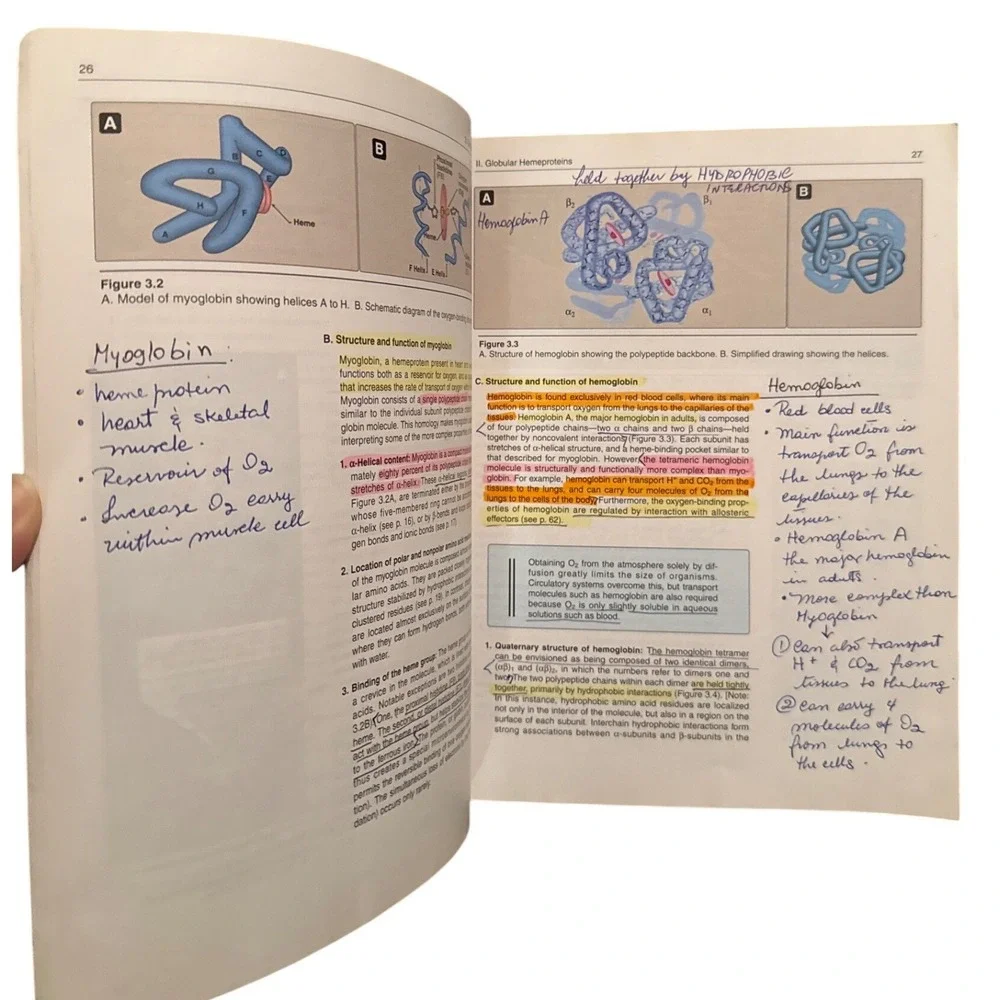 Lippincotts Illustrated Reviews Biochemistry 4th Edition‎ Medical Textbook